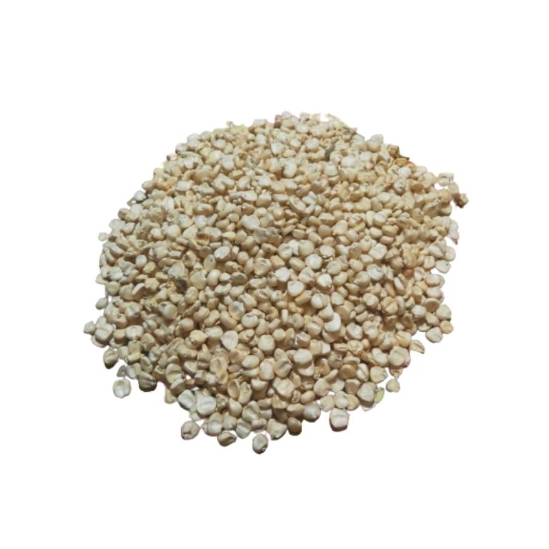 

Biji Jagung Putih Lokal 100gram Berkualitas