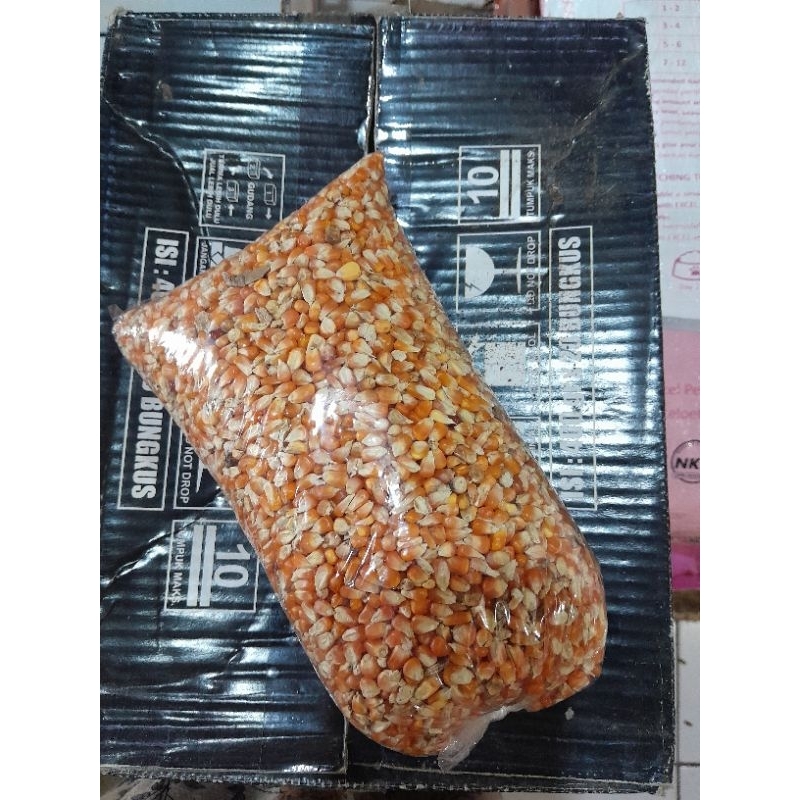 

jagung kecil