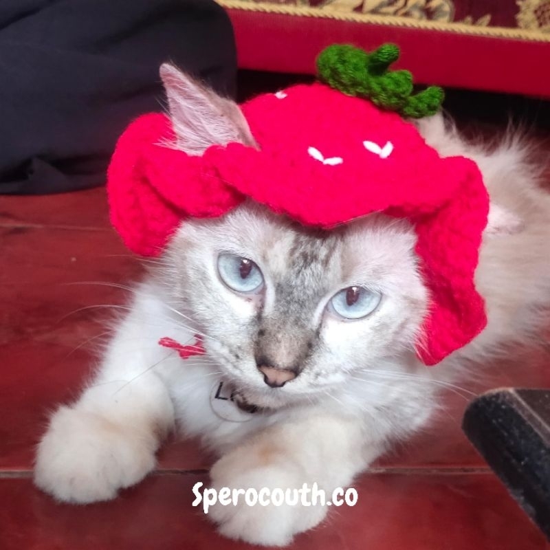 Topi Kucing Rajut/ Cat Hat Crochet