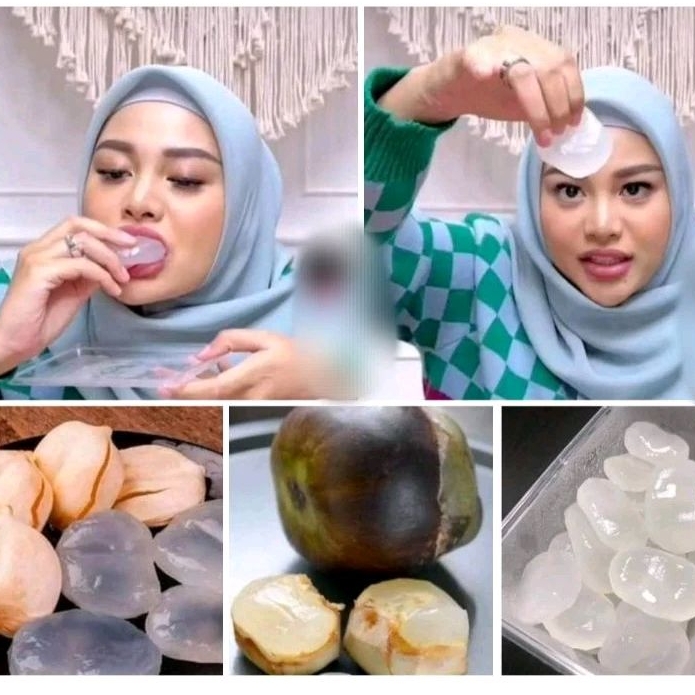 

BUAH LONTAR KUPAS PREMIUM SUPER 9 PCS COD