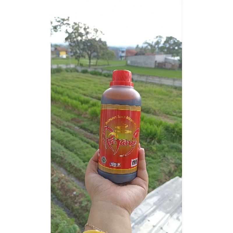 

RAJANIE~ Ramuan Jahe merah Gula Aren Isi 500ml BPOM HALAL Minuman Kesehatan