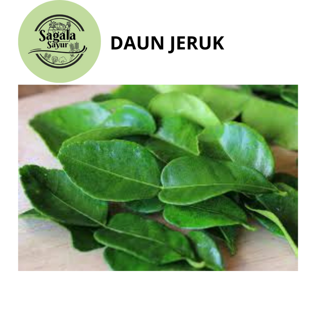 

DAUN JERUK 250GR / PENGHARUM ALAMI MASAKAN / PELENGKAP MASAKAN