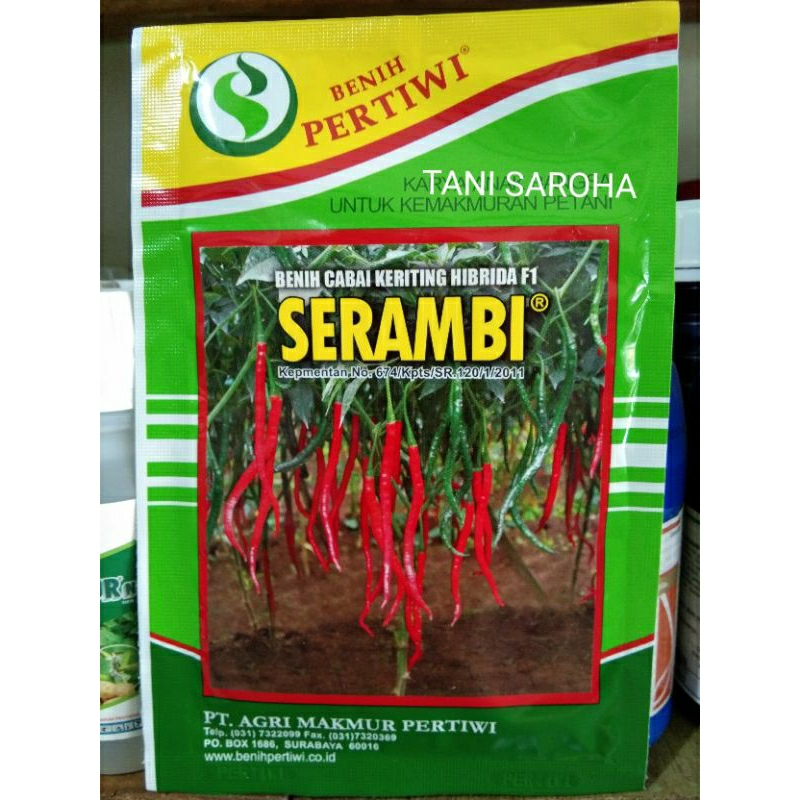 CABE KERITING SERAMBI F1 10 GR PERTIWI
