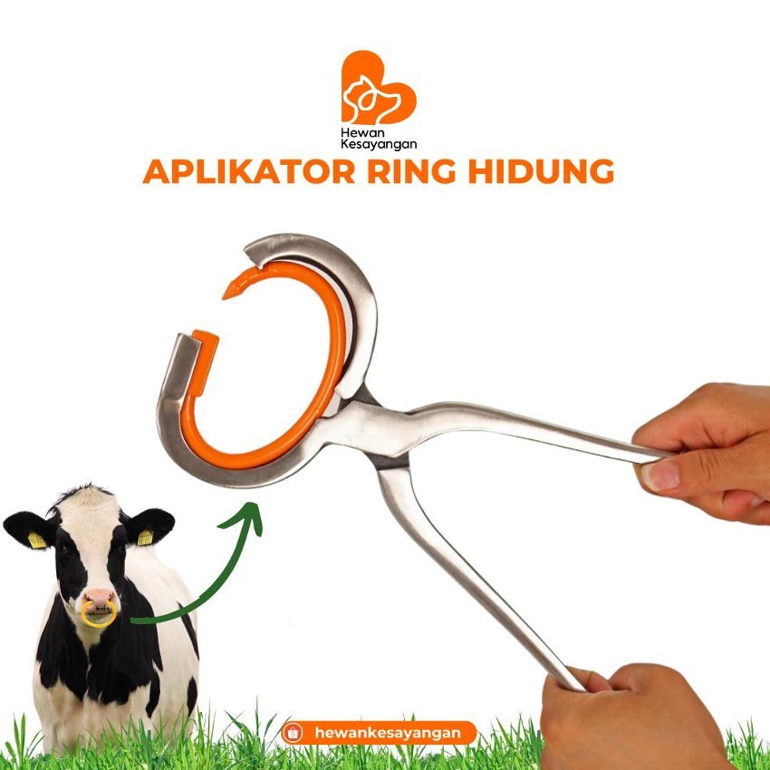 Aplikator Cincin Ring Hidung Sapi Lembu Kerbau dll