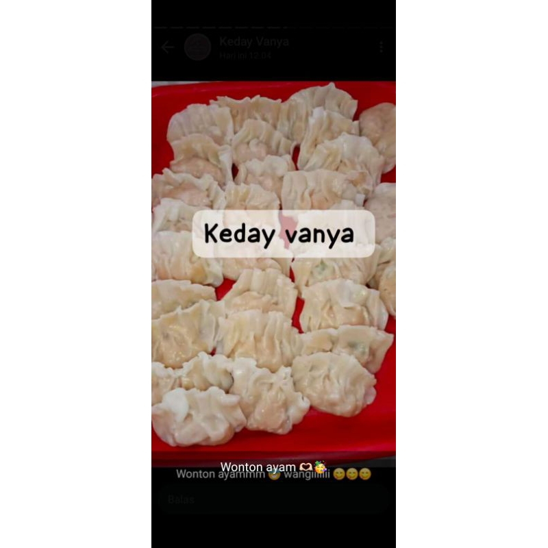 

Wonton Ayam Frozen