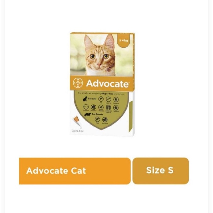 KODE F39Q advocate small cat bb max 4 kg  ferret obat kutu kucing musang cerpelai flea larva whipwor