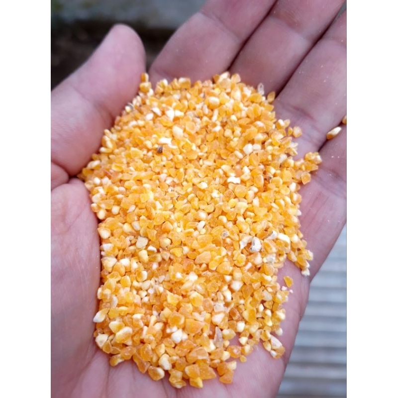 

Jagung pecah kualitas premium kemasan 1kg