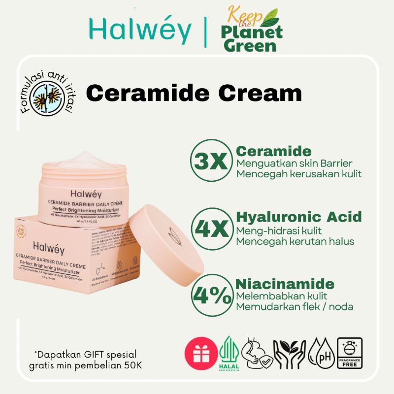 Pelembab Wajah 4% Ceramide | Halwey - Ceramide Daily Cream