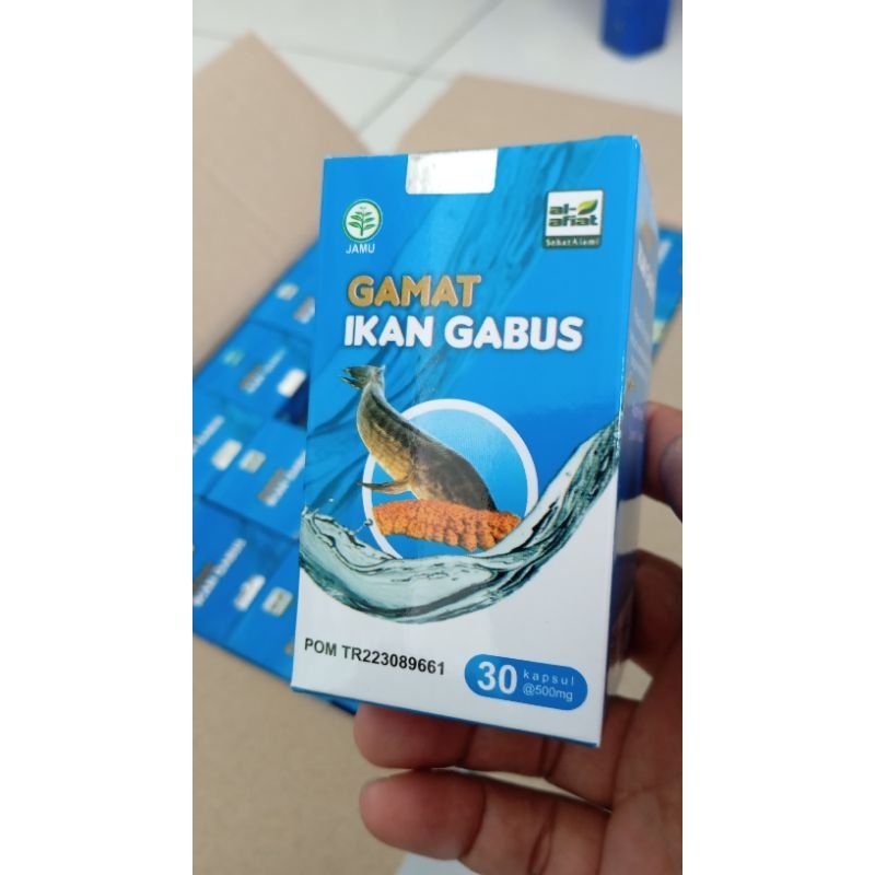 Ikan Gabus plus gamat kapsul
