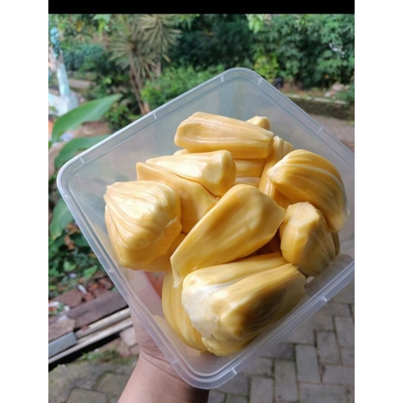 

nangka kupas manis pengiriman bandung