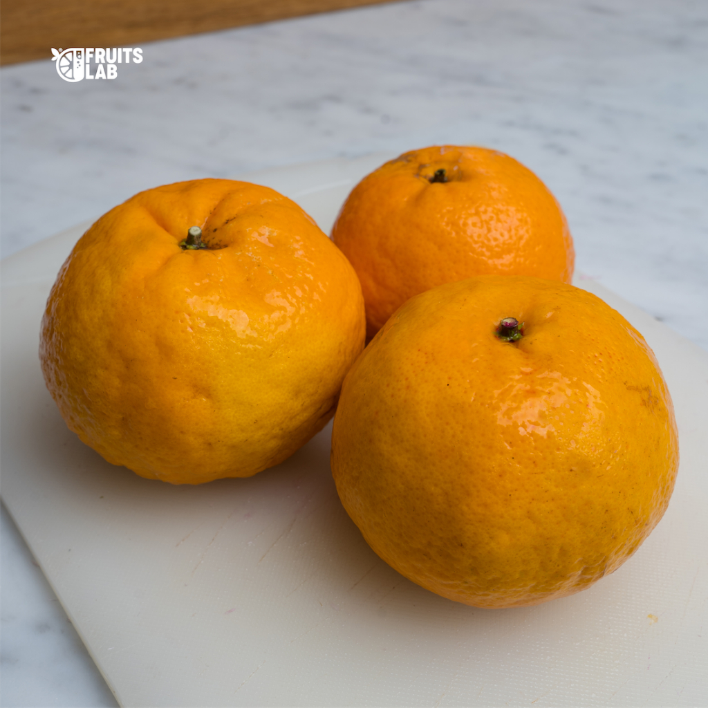 

Fruitslab - Buah Jeruk Wogan Fresh