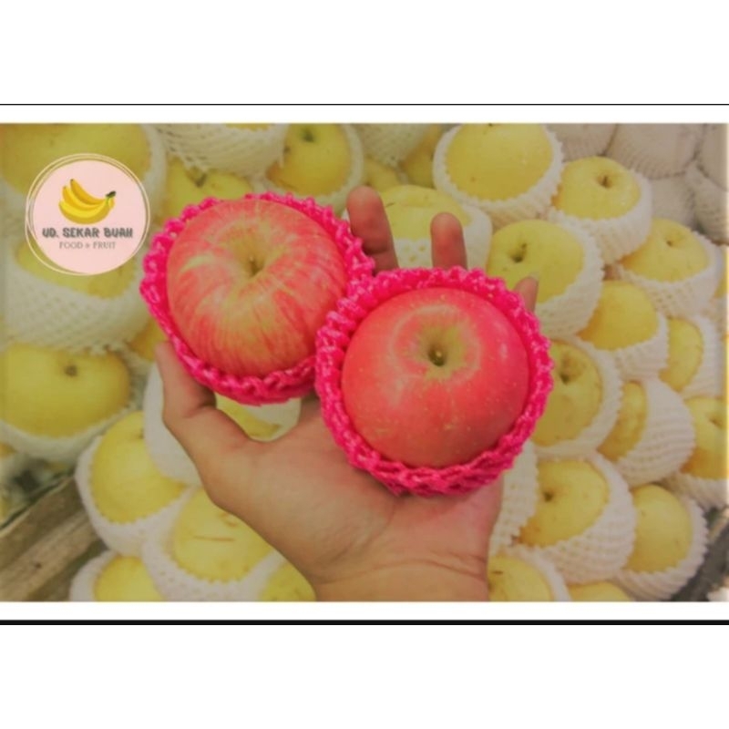 

AFGC [KIRIM INSTAN] APEL FUJI PREMIUM FRESH PAKET 900g-1kg