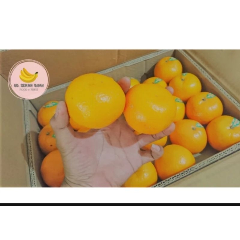 

AFGC [KIRIM INSTAN] JERUK MANDARIN, MURCOT, WOGAN, KINNOW 1kg
