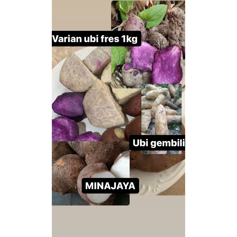 

VARIAN UBI/UWI 1KG UBI GEMBILI, UWI UNGU, UWI PUTIH KETAN FRES