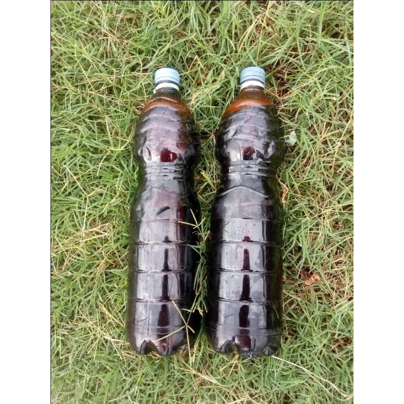 MOLASE TETES TEBU ASLI 100%