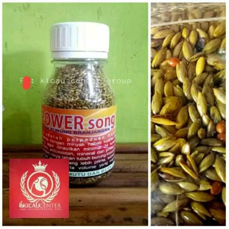 POWER SONG BRANJANGAN