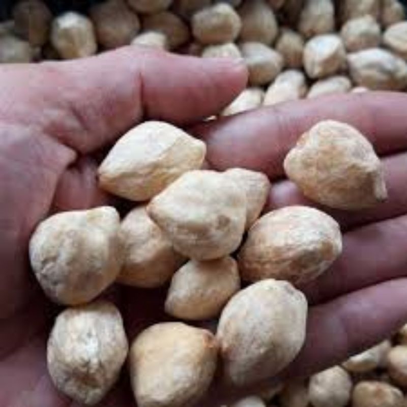 

Kemiri 100% asli kualitas premium bumbu dapur