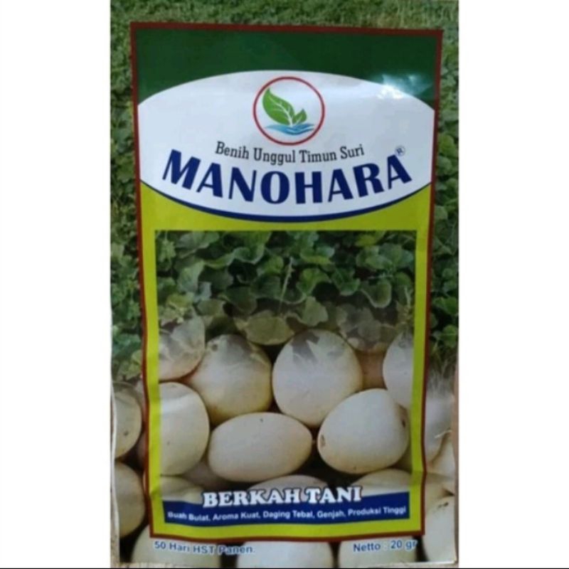 bibit timun suri MANOHARA