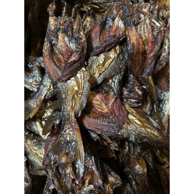 

salai patin