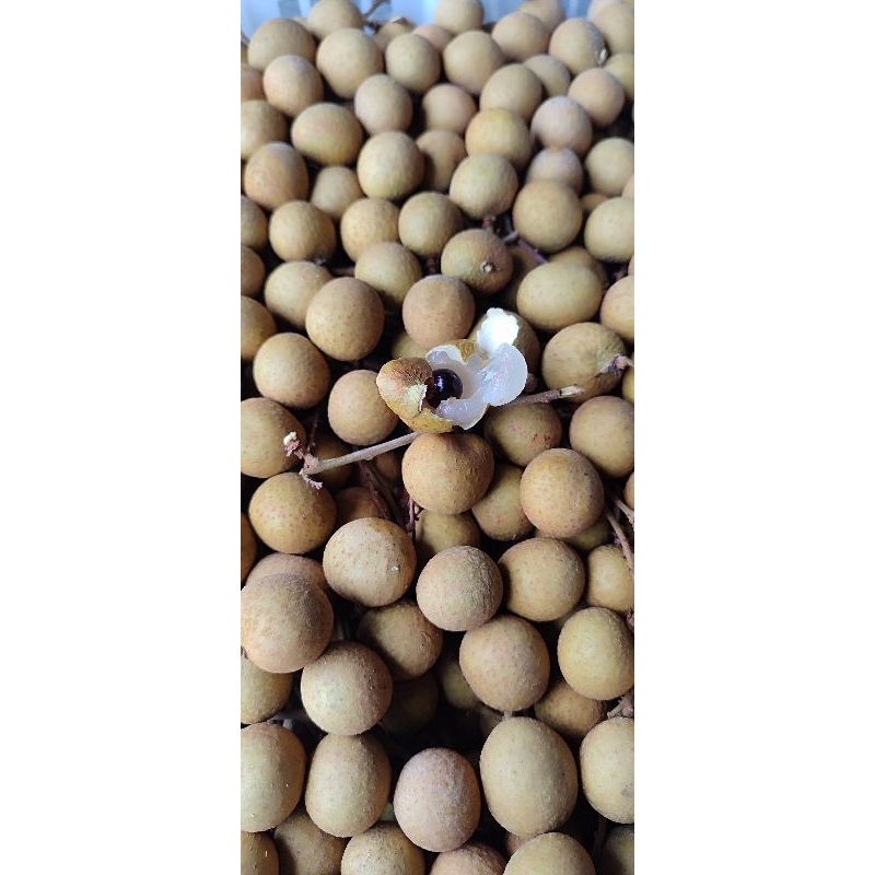 

Kelengkeng Gold 1kg