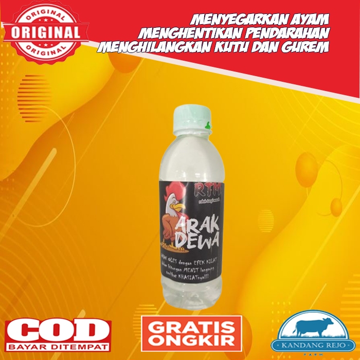 Arak Gosok Dewa RTM Menyegarkan Ayam Laga Aduan Petarung