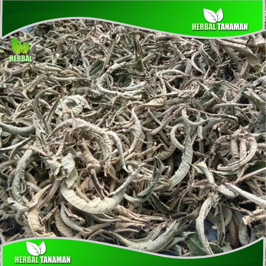 

Daun sungkai kering penedap rasa dan obat herbal