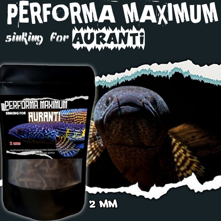 Hadir Termurah  PELET AURANTI PERFORMA MAXIMUM SINKING 2MM