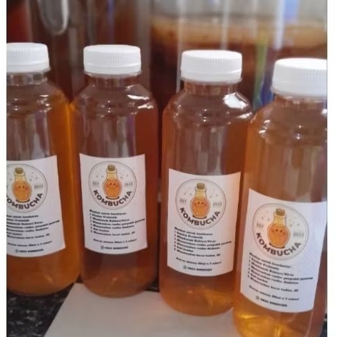 

Kombucha Tea 250 ml