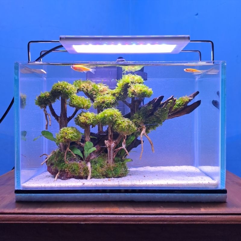 Aquascape Paket Fullset Ukuran 25x15x15