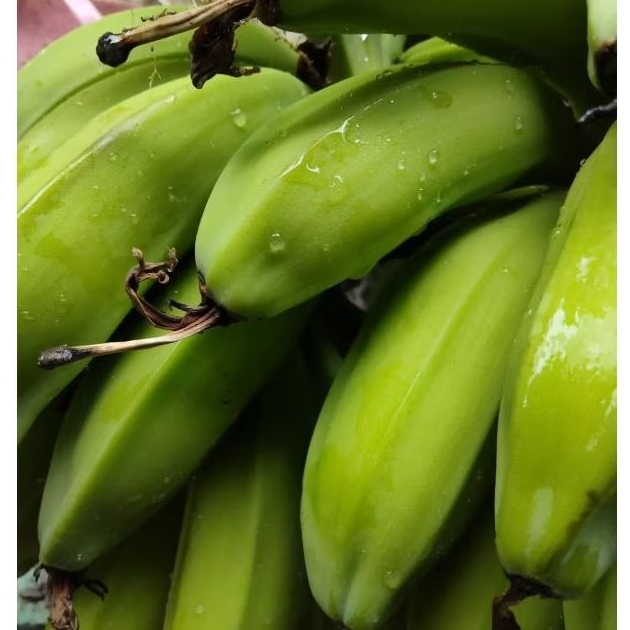 

Pisang batu muda pisang kluthuk segar 500 gram