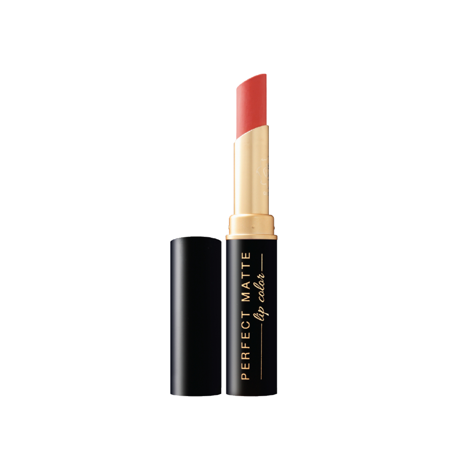 SKINMED ~ VIVA QUEEN PERFECT MATTE LIP COLOR 2,5g lipstik viva