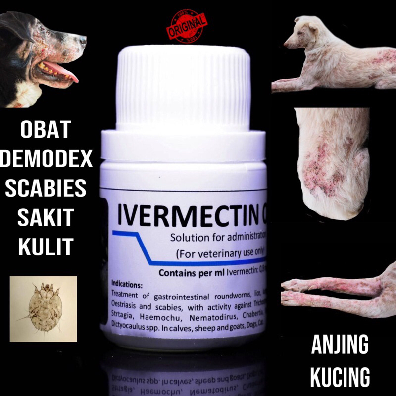 Ivermectin oral obat sakit kulit, demodex, gatal anjing dan kuncing