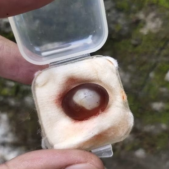 batu merah pusaka temuan antik