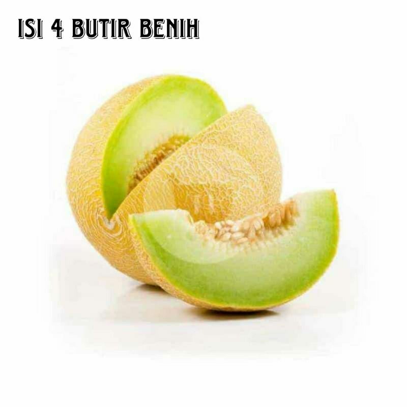 

repacking - 4 biji benih melon tahan virus
