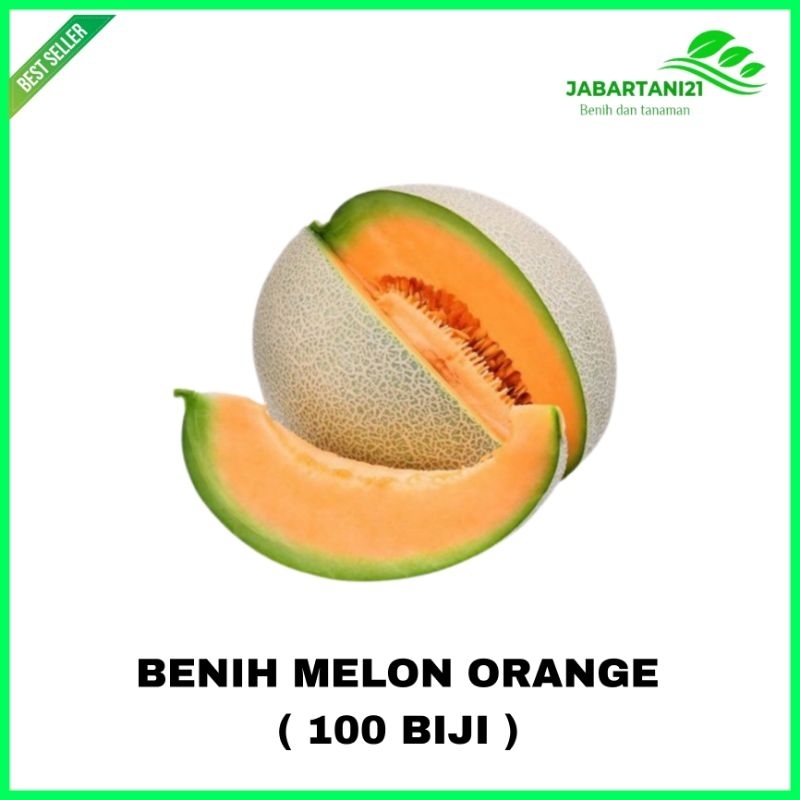 ( 100 ) BIJI BENIH MELON ORANGE