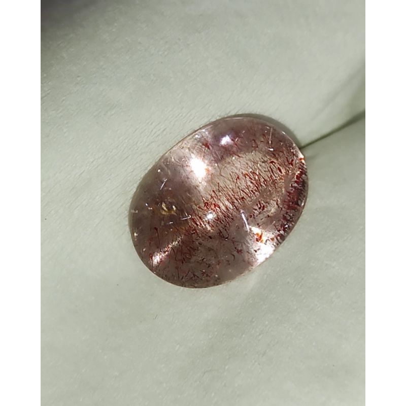 KECUBUNG RAMBUT MERAH KECUBUNG BULU MERAH ASLI KALIMANTAN