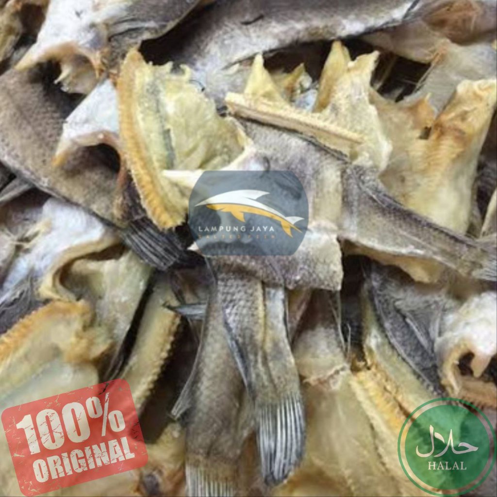 

{BISA COD} IKAN ASIN GABUS KECIL 250 GRAM BERKUALITAS -HARGA GUDANG MURAH, DISTRIBUTOR PERTAMA DARI PETANI