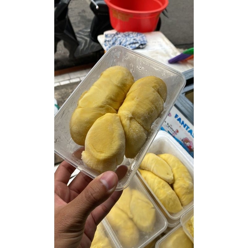 

Durian Montong Sulawesi 450-500grm