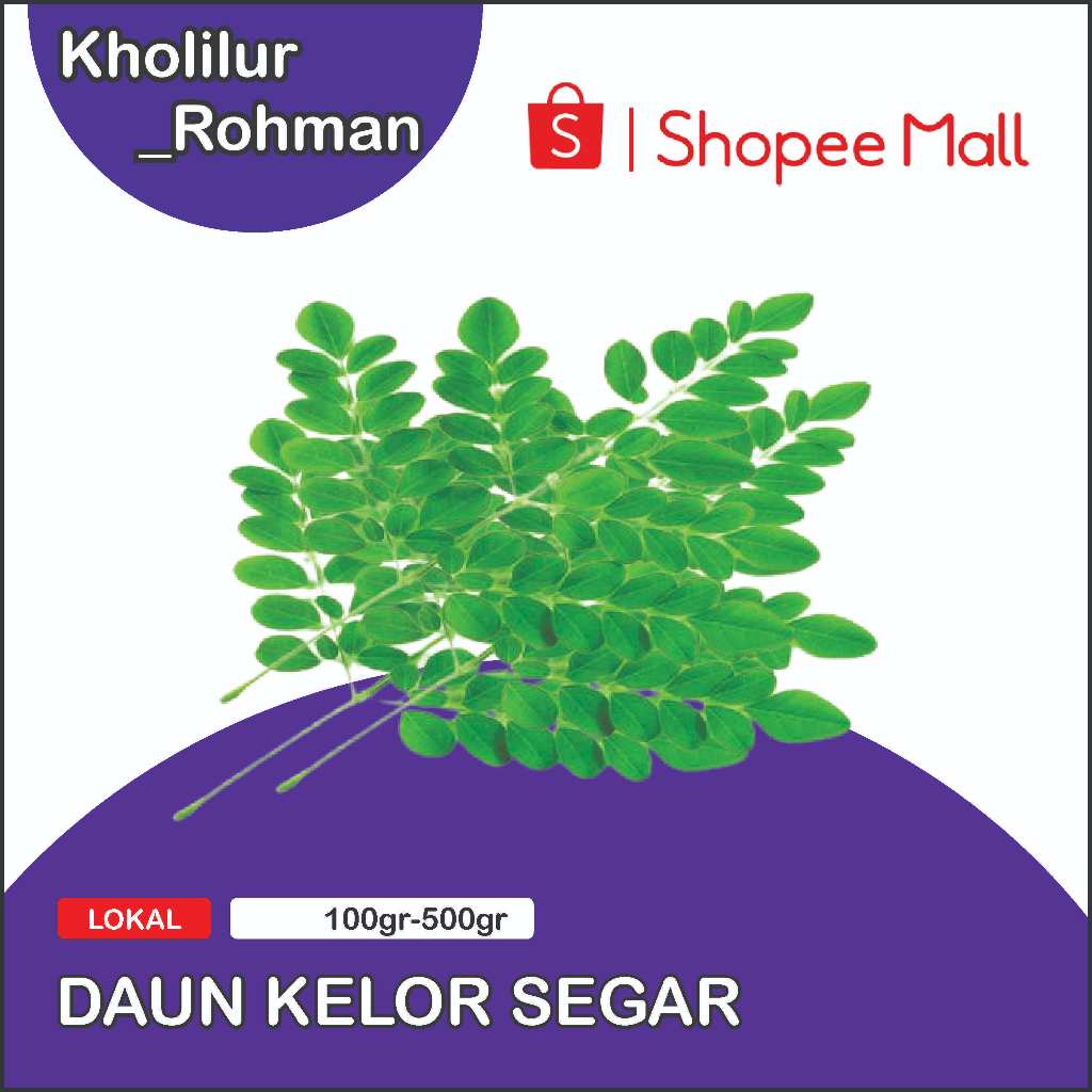 

DAUN KELOR SEGAR UNTUK KESEHATAN