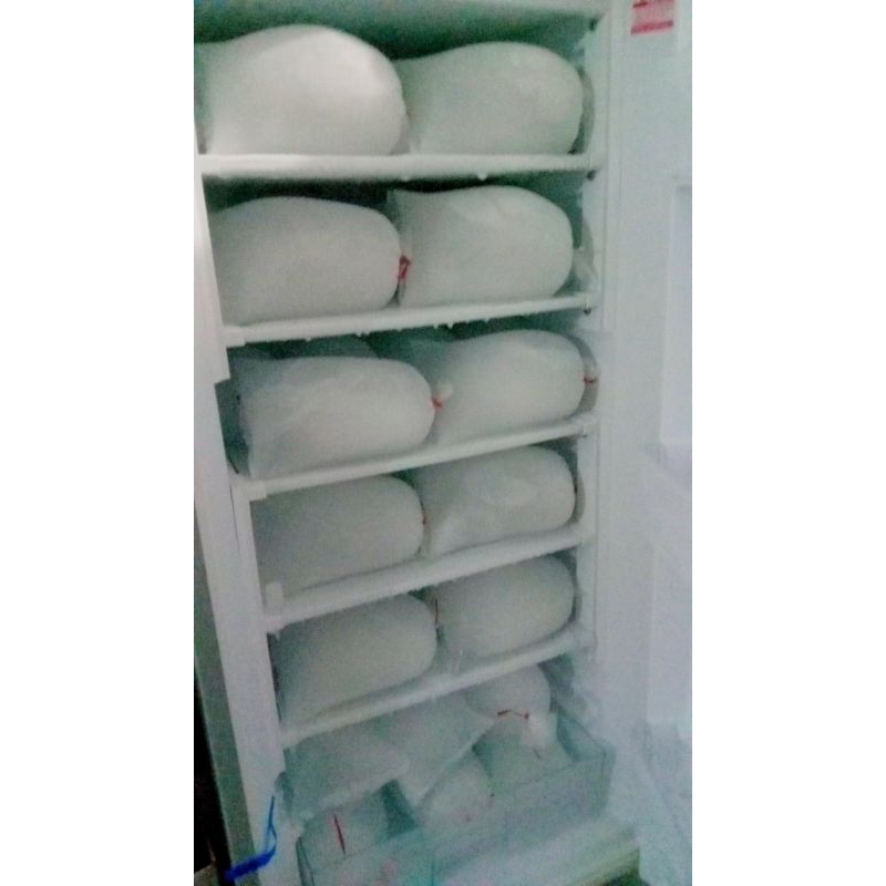 

ES BATU KEMASAN 1KG(Khusus area LUMAJANG/JAWA TIMUR)