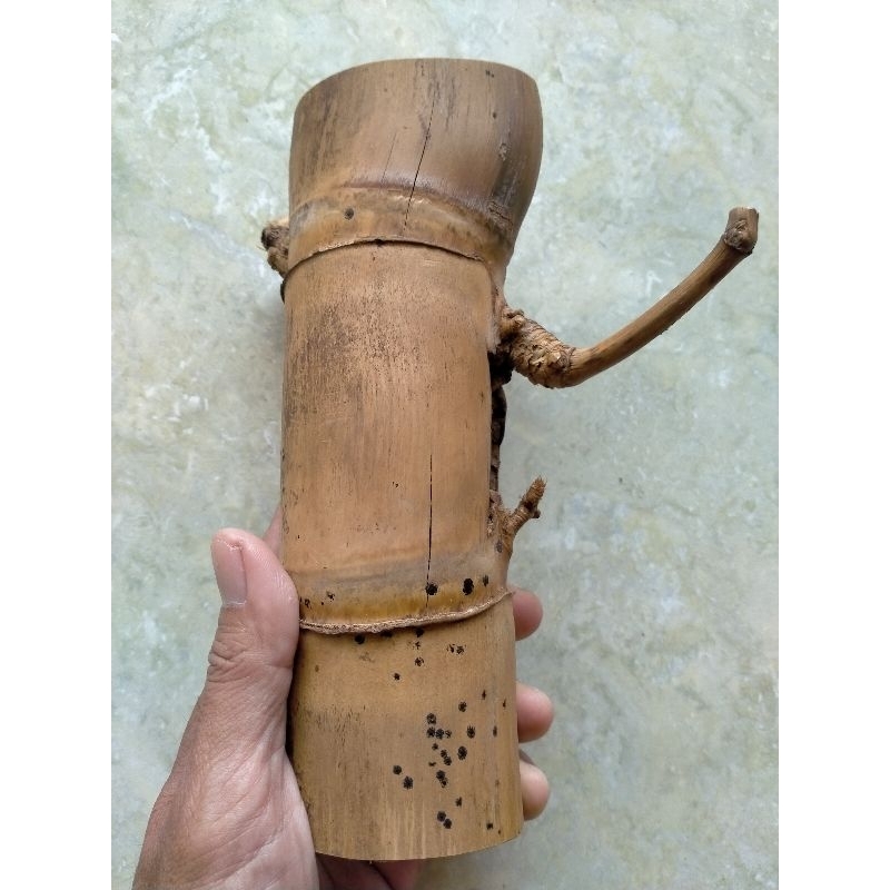 BAMBU UNIK PETUK JALU (19 CM) BATANG UTAMA WOW SANGAT S BOSKUH