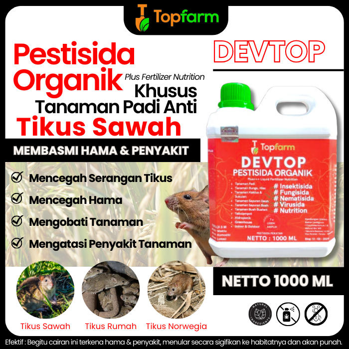 Obat Semprot Hama Tikus Di Sawah / Obat Hama Tikus Sawah Ampuh / Obat Untuk Padi Sawah Hama Hama Tik