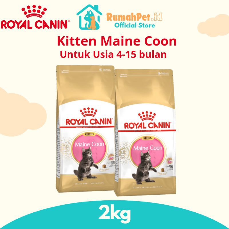 Royal Canin Cat Kitten Maine Coon 2kg Royal Canin Makanan Anakan Maine Coon 2kg