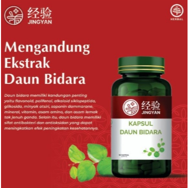 Jingyan Daun Bidara Bantu Atasi Biduran dan Alergi