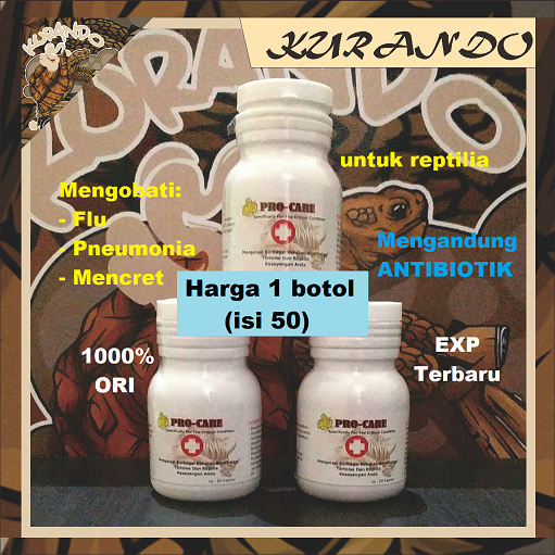 JKK ProCare Pro Care JKK Obat Flu Pneumonia Reptil Torto by Kurando