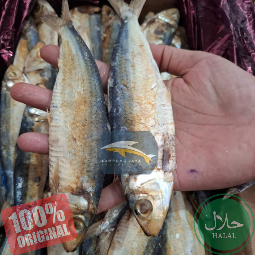 

{BISA COD} 250 GRAM IKAN ASIN LAMURU / LEMURU BELITUNG BERKUALITAS - HARGA GUDANG MURAH, DISTRIBUTOR PERTAMA DARI PETANI