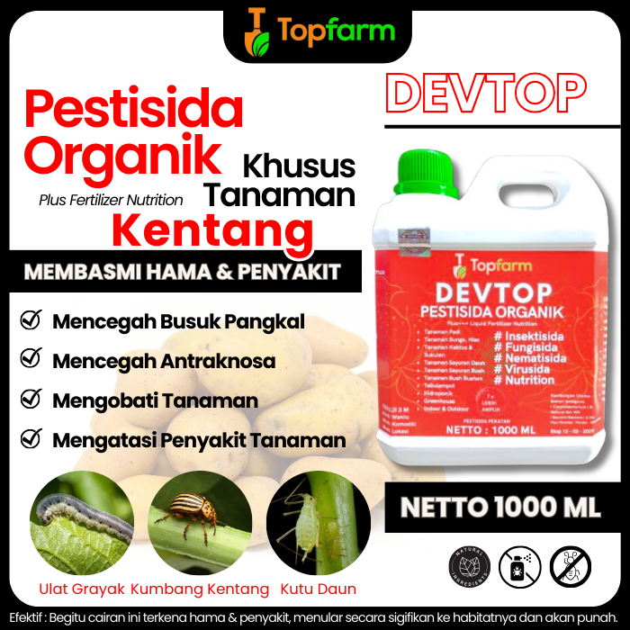 Obat Hama Trips Di Daun Kentang / Obat Jamur Tanaman Kentang / Obat Daun Untuk Tanaman Kentang / Oba