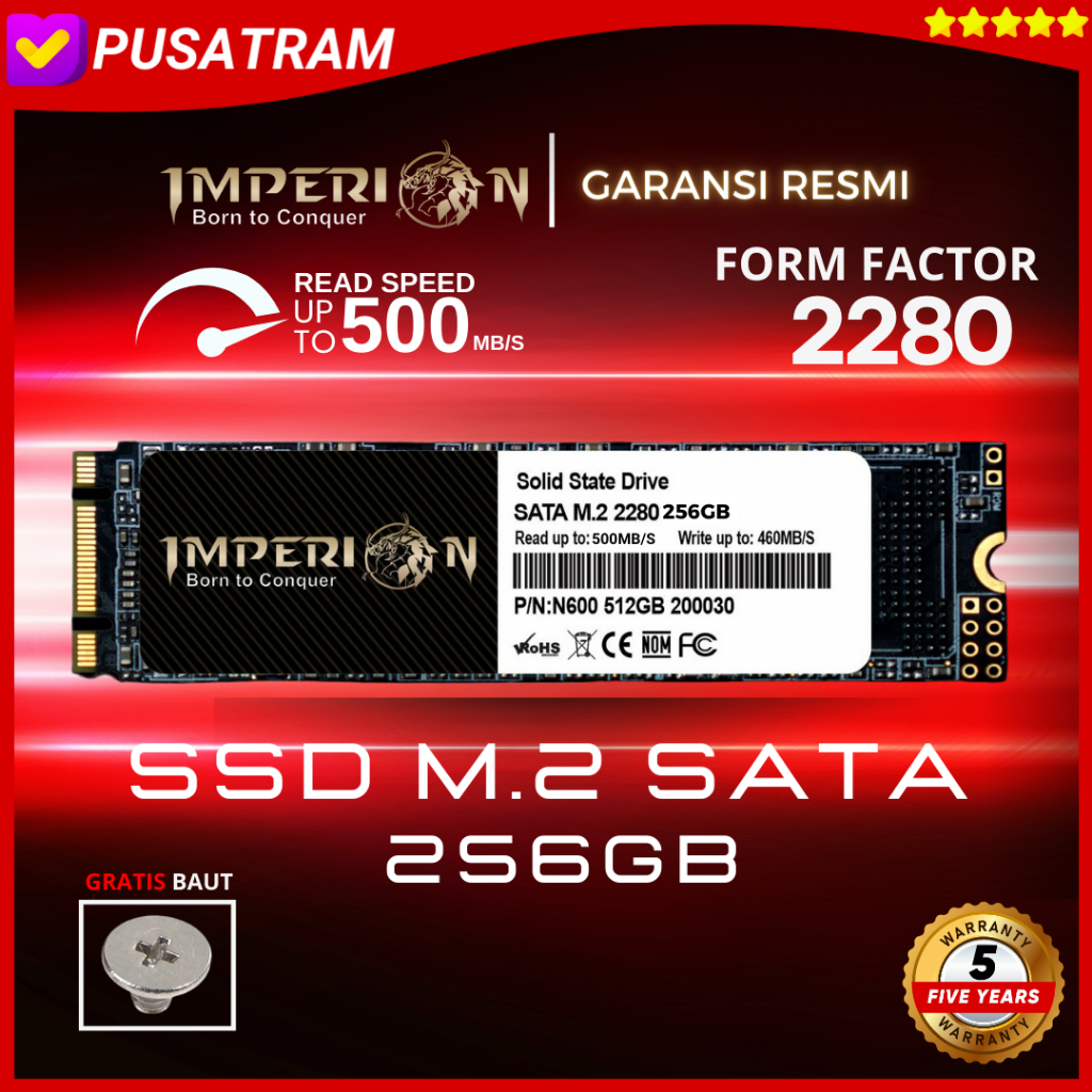 SSD M2 SATA M.2 SATA III 2280 256 GB IMPERION GARANSI RESMI SSD 256GB