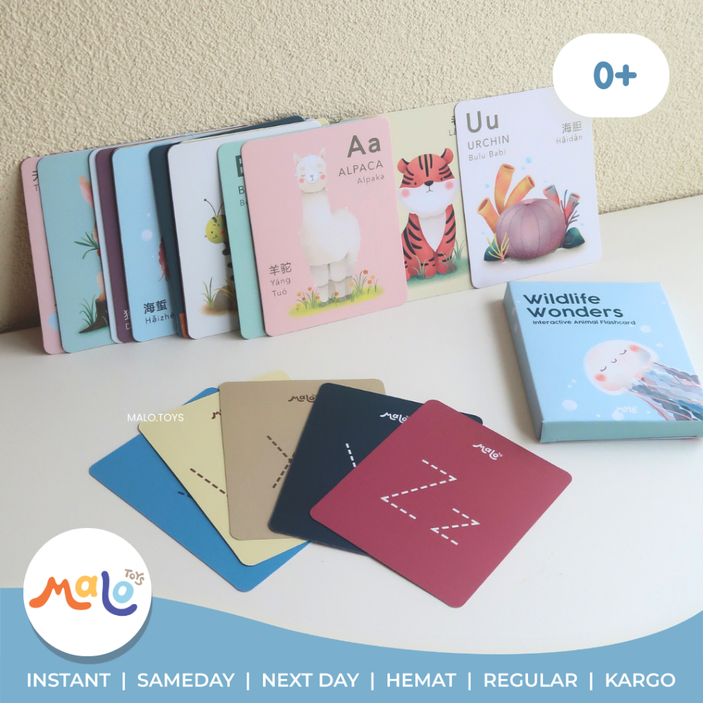 MALOTOYS x Shania - Flash Card Alphabet Animal Binatang Inggris Mandarin Indonesia Bahasa Flashcard 
