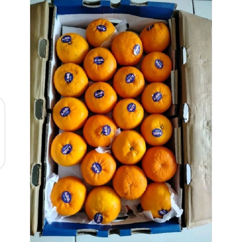 

Puri Segar Shop, Jeruk Mandarin Wokam 1 Kg.